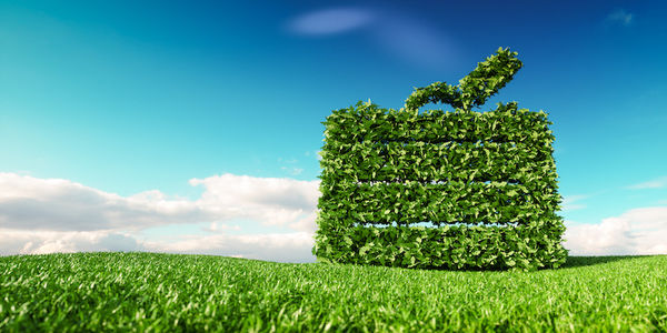 sustainable-travel-program